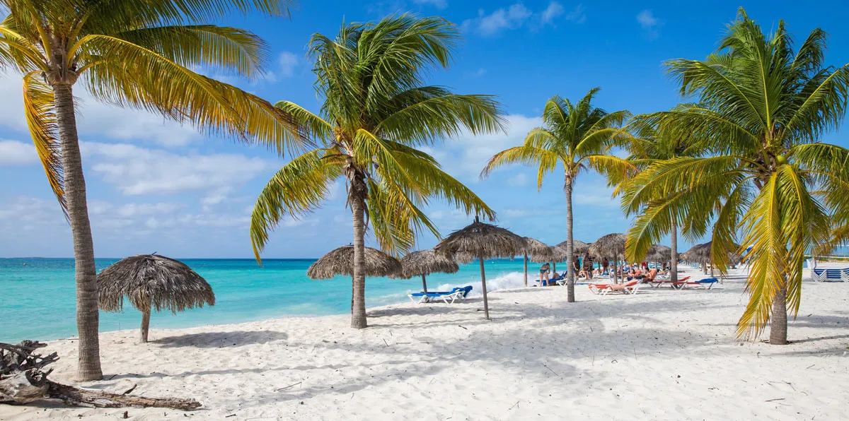 Paradiesischer Strand auf Cayo Largo mit türkisfarbenem Wasser und Palmen