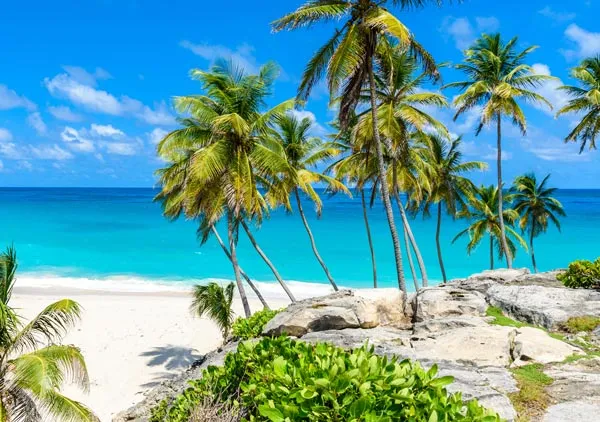 Segeln in Barbados